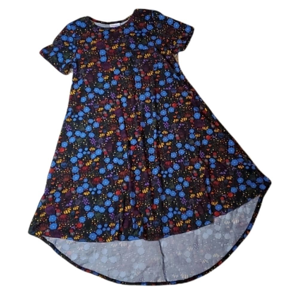 LULAROE Folk Art Print Carly Dress
